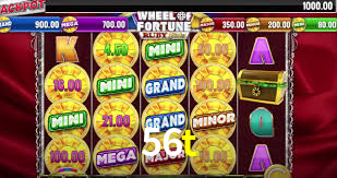 56t,56t.com